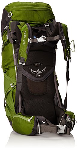 Osprey Mens Volt  Backpack