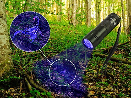 TaoTronics Pet UV Urine Stain Detector BlacklightFlashlight Find stains on Carpet Rugs leds